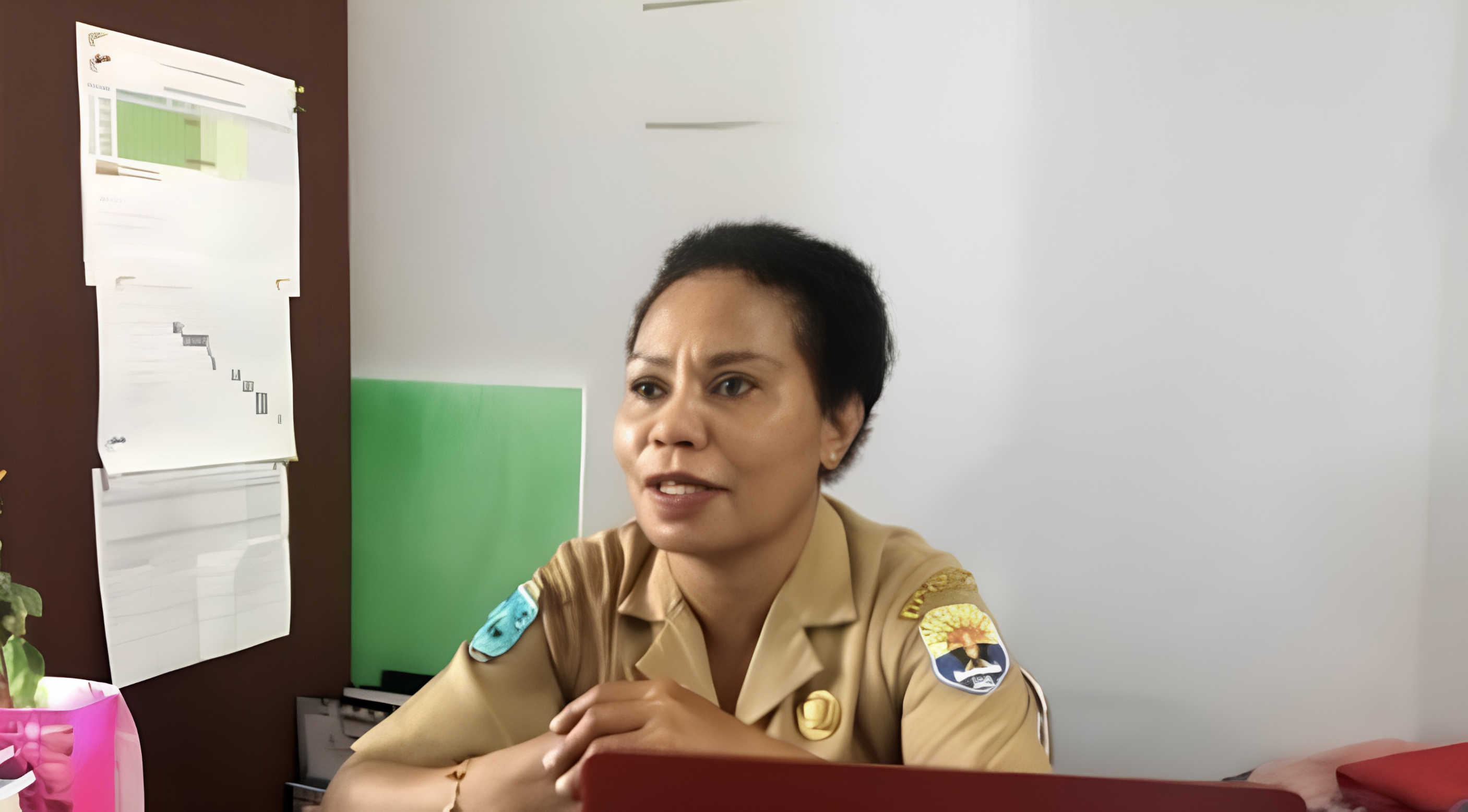 kesehatan_di_Kaimana.png